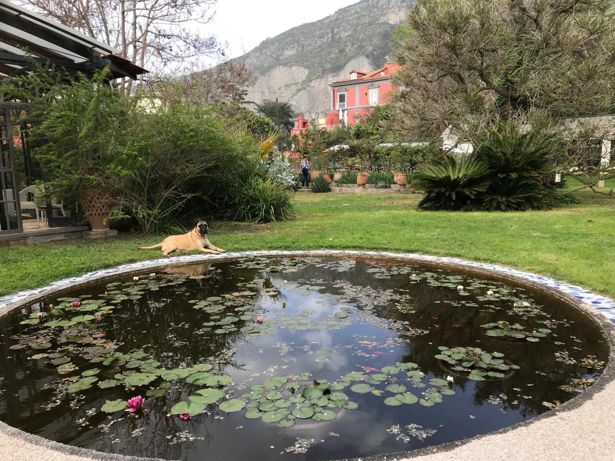 拉嘉利纳菲利斯住宿加早餐旅馆 梅塔 外观 照片